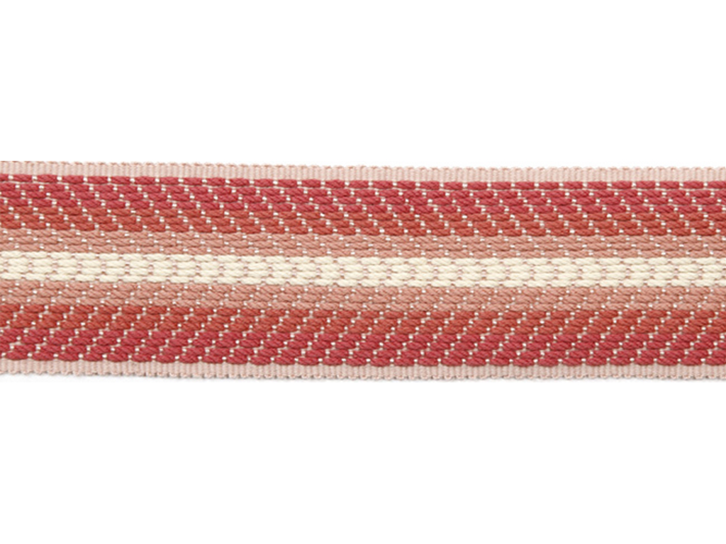 Тесьма DREAM 6206-05