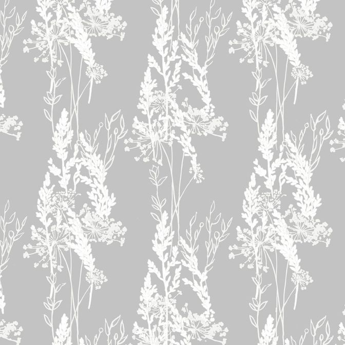 Trento Monte Baldo 1088-10