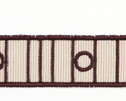 Тесьма COLORE NEOTON 2501-110