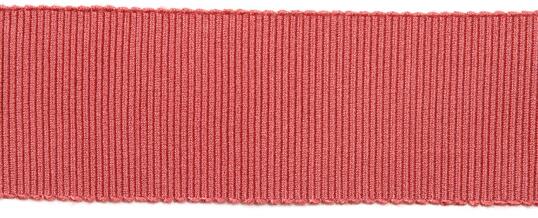 Тесьма BASIC NEOTON 1304-41