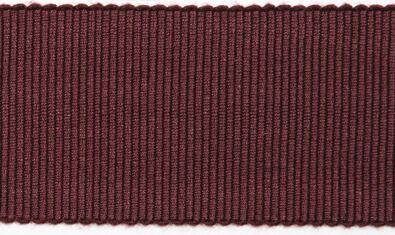 Тесьма BASIC NEOTON 1304-31