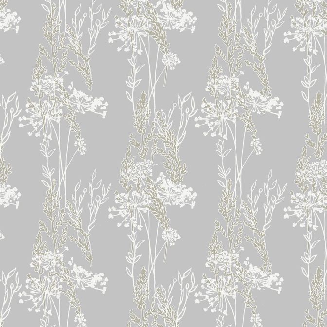 Trento Monte Baldo 1088-61