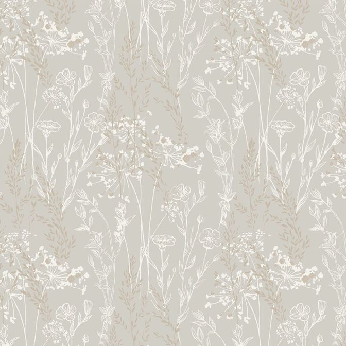 Trento Monte Baldo 1077-12