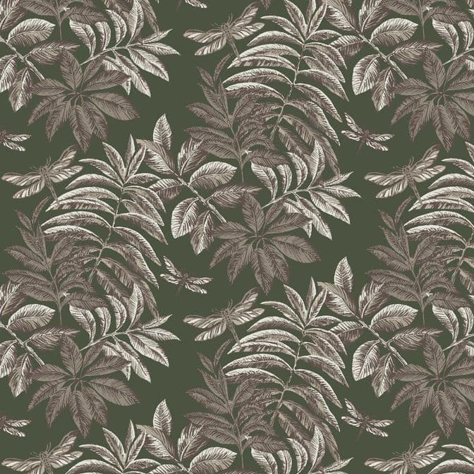 Trento Monte Baldo 1076-52