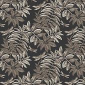 Trento Monte Baldo 1076-67