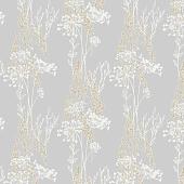 Trento Monte Baldo 1088-12