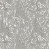 Trento Monte Baldo 1077-61