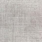 Trento Monte Baldo 1078-10