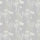 Trento Monte Baldo 1088-61