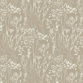 Trento Monte Baldo 1077-20